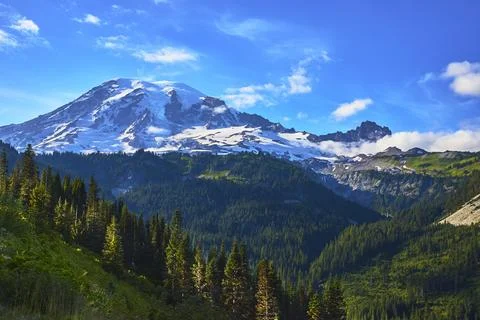 Mount Rainier Snow Capped Peak and Evergreen Forest Under Blue Sky in Sunri.. Stock Photos