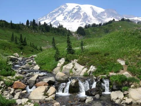 Mount Rainier with Stream Stock Photos