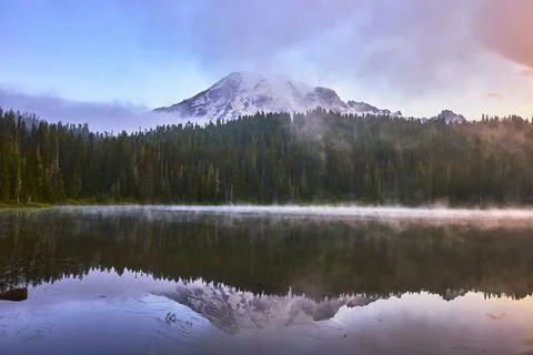 Mount Rainier Sunrise Reflection Over Misty Lake and Evergreen Forest Stock-Fotos