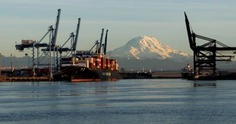 Mount Rainier sunset 4K 24p Stock Footage 48505880