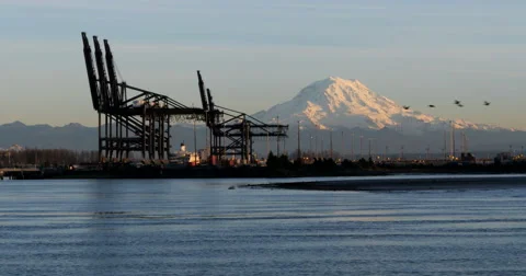 Mount Rainier sunset 4K 24p Stock Footage 48505897