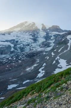 Mount Rainier at sunset light Stock Photos