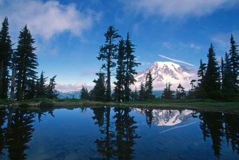 Mount Rainier View Small pond Stock Photos