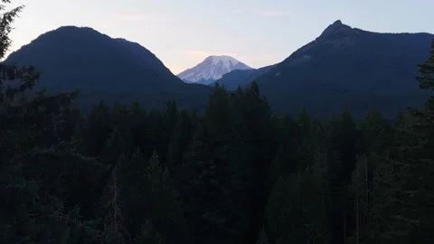 Mount Rainier Washington Sunset Over Forest Stockbeeldmateriaal 343808965