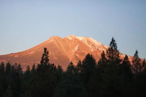 Mount Ranier 스톡 사진