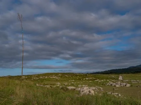 Mount with rocks and a tree under a cloudy sky Stock Photos