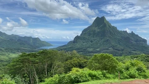 Mount Rotui in Moorea 動画素材 344349189