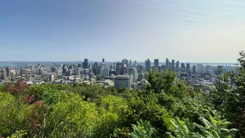 Mount Royal overlook Timelapse Vidéo 334632553