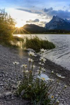 Mount Rundle in sunset light Banff National Park Stock Photos