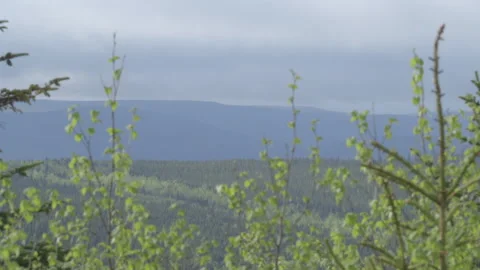 Mount Sagamook Viewpoint Stock Footage 144838776