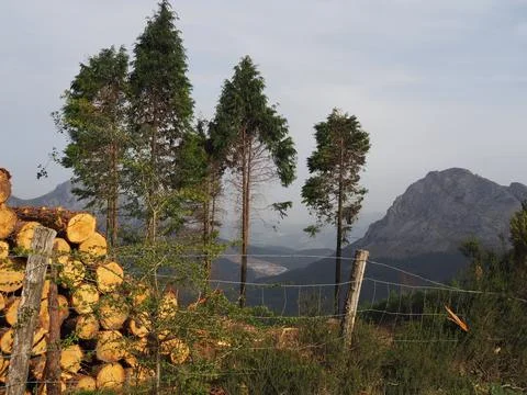 Mount Saibi Stock Photos