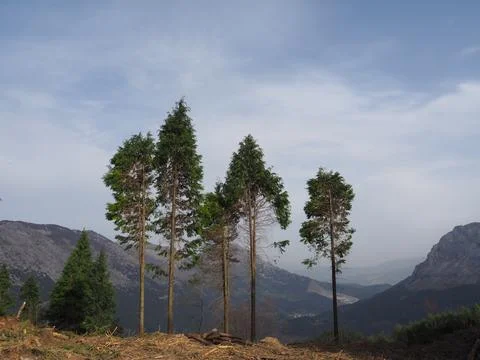 Mount Saibi Stock Photos