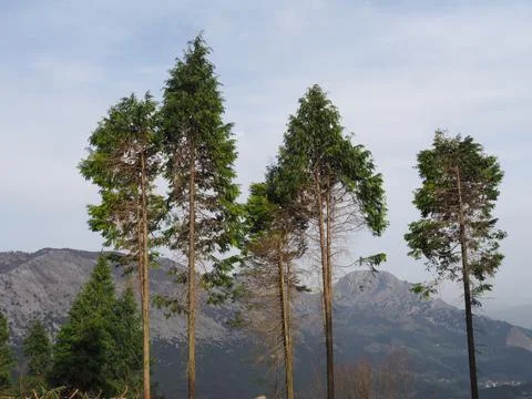 Mount Saibi Stock Photos