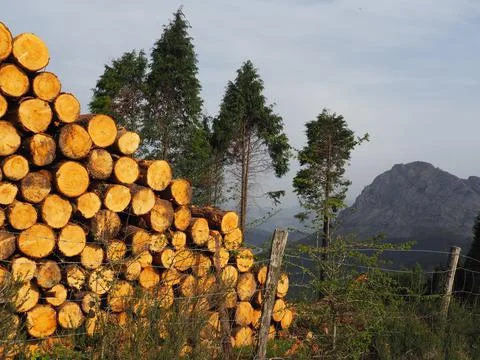 Mount Saibi Stock Photos