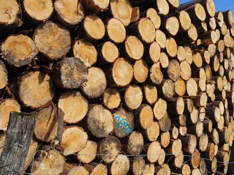 Mount Saibi Stock Photos