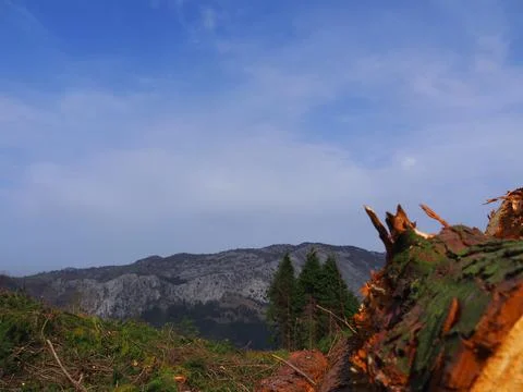 Mount Saibi Stock Photos