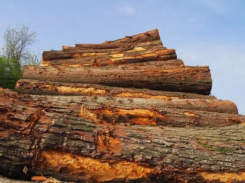 Mount Saibi Stock Photos