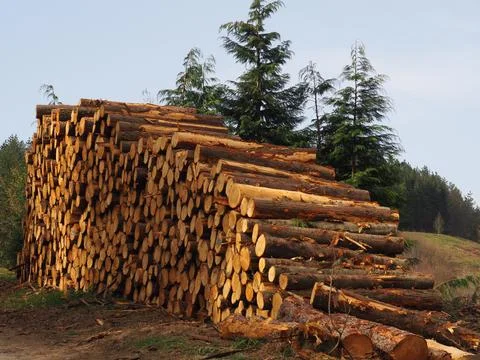 Mount Saibi Foto stock