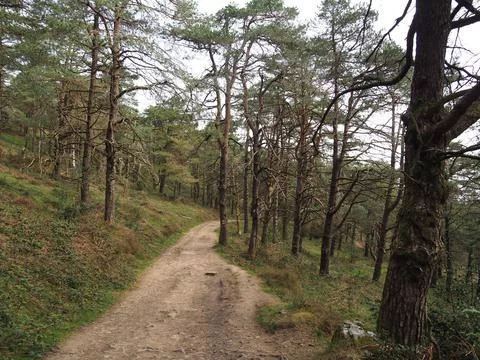 Mount Saibi Stock Photos