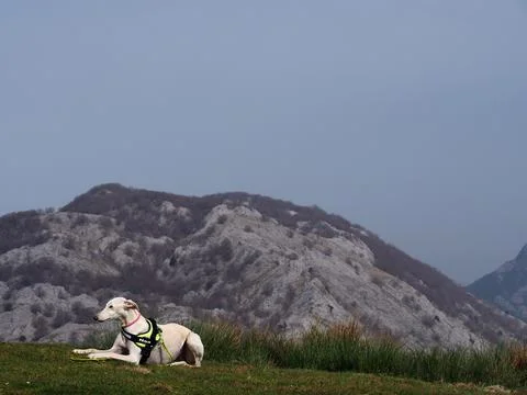 Mount Saibi Stock Photos