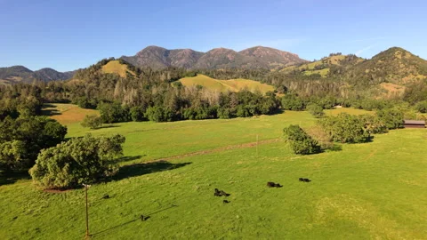Mount Saint Helena Sonoma County California Stock Footage 344163344