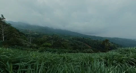 Mount Salak 8 - grass Stock Footage 284266914