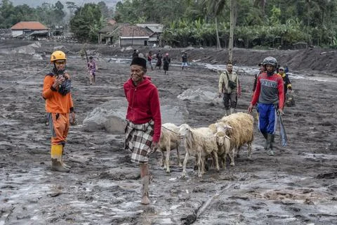 Mount Semeru Volcano eruption aftermath, Lumajang, Indonesia - 20 Nov 2025 Foto stock