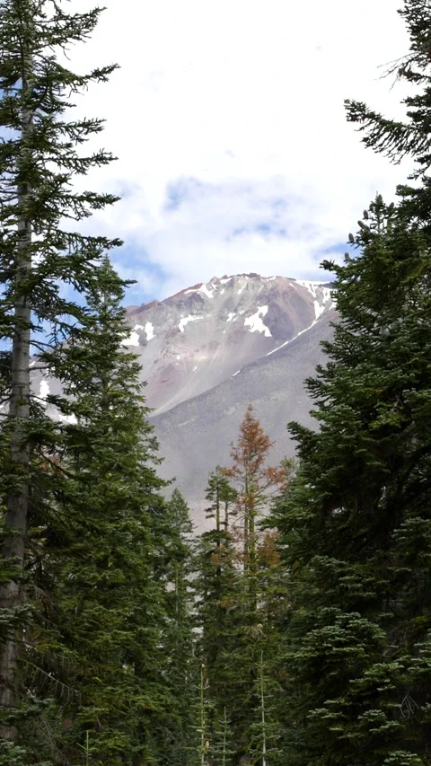 Mount Shasta Video stock 295233080