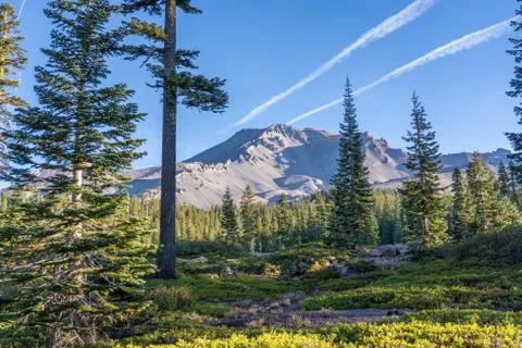 Mount Shasta Stock Photos