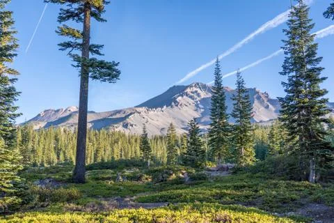 Mount Shasta Stock Photos