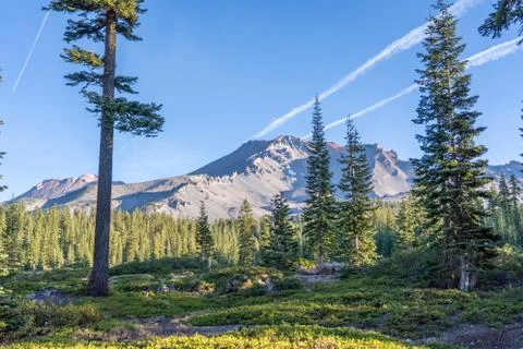 Mount Shasta Stock Photos
