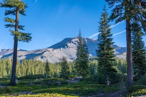 Mount Shasta Stock Photos