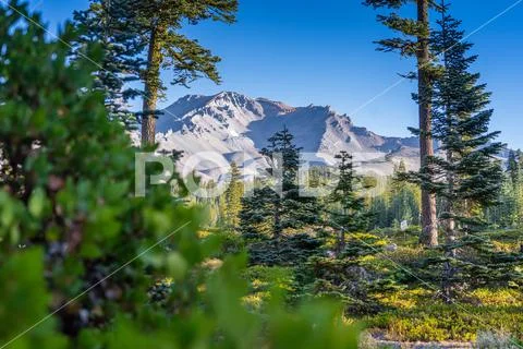 Mount Shasta Stock Photos
