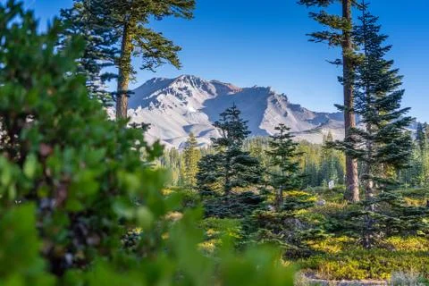 Mount Shasta Stock Photos