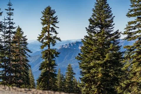 Mount Shasta Stock Photos