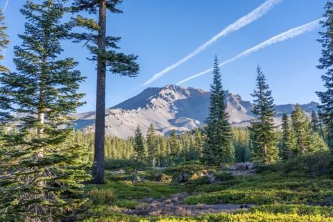 Mount Shasta Volcano Stock Photos