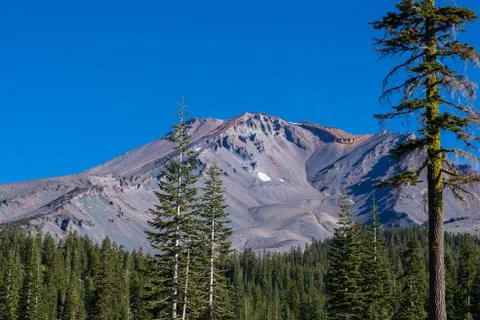 Mount Shasta Volcano Stock Photos