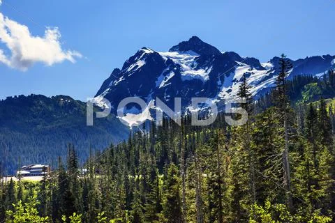 Mount shuksan evergreens mount baker ski area washington Stock Photos