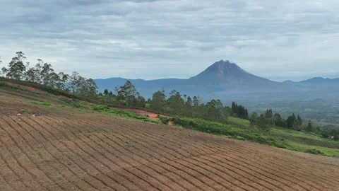 Mount Sinabung 動画素材 260453576