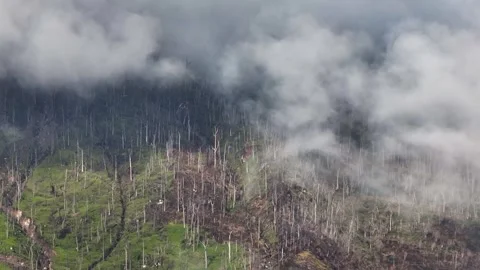 Mount Sinabung. Sumatra, Indonesia. Stock Footage 243539248