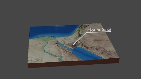 Mount Sinai 2d callout Stock Footage 342984623