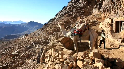 Mount Sinai. Egypt Stock Footage 864198