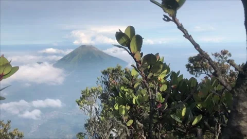 Mount Sindoro Viewed from Mount Sumbing Through Foreground Vegetation 스톡 동영상 340031745