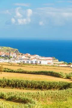 Mount slope, fully covered by countless trees at Sao Miguel island, Portugal Stock Photos