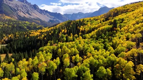 Mount Sneffels Fall Colors 06 | Aspen Trees | Wilderness Area | 4K Drone Footage Stock Footage 293246966