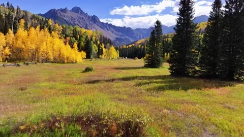 Mount Sneffels Fall Colors 09 | Aspen Trees | Wilderness Area | 4K Drone Footage Stock Footage 293244887