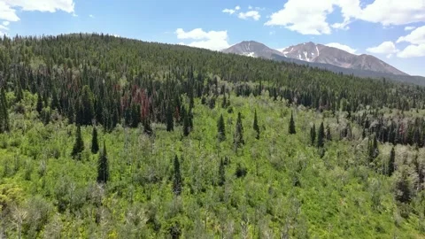 Mount Sopris 01 | Elk Range | Carbondale | Colorado | 4K Drone Footage Stock Footage 291563747