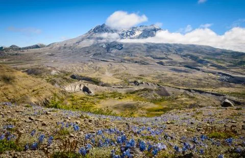 Mount St. Helens Stock Photos