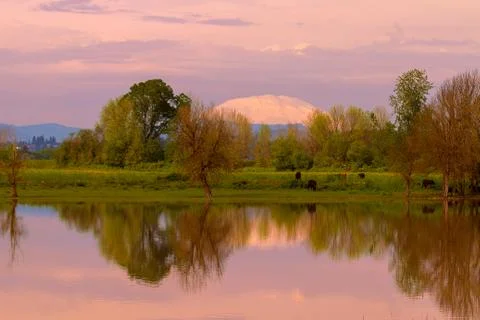 Mount St Helens Reflection during Sunset in Oregon Fotos Stock