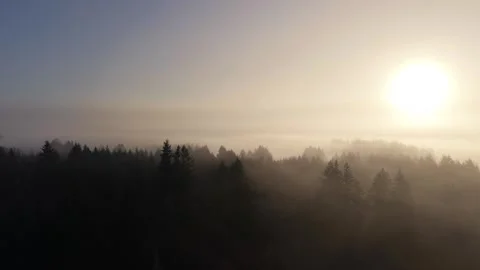 Mount St. Helens Rising Above a Sea of Morning Fog in Washington Stock Footage 345887862